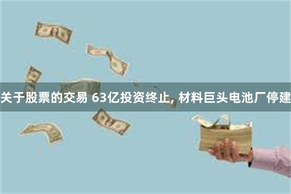 关于股票的交易 63亿投资终止, 材料巨头电池厂停建