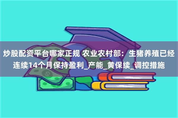 炒股配资平台哪家正规 农业农村部：生猪养殖已经连续14个月保持盈利_产能_黄保续_调控措施
