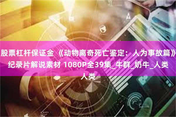 股票杠杆保证金 《动物离奇死亡鉴定：人为事故篇》纪录片解说素材 1080P全39集_牛群_奶牛_人类