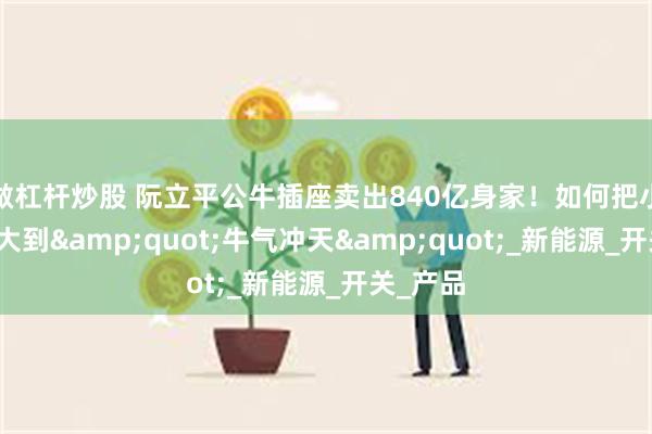 做杠杆炒股 阮立平公牛插座卖出840亿身家！如何把小插座做大到&quot;牛气冲天&quot;_新能源_开关_产品