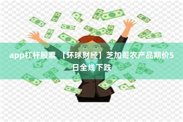 app杠杆股票 【环球财经】芝加哥农产品期价5日全线下跌