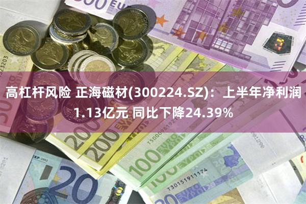 高杠杆风险 正海磁材(300224.SZ)：上半年净利润1.13亿元 同比下降24.39%