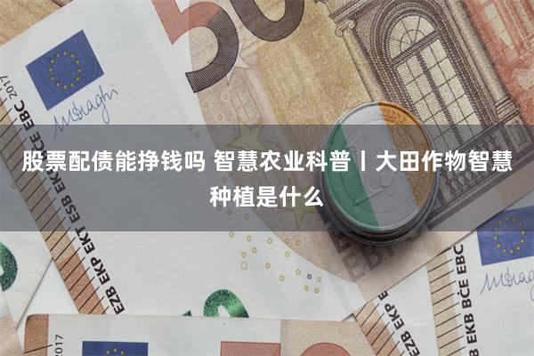 股票配债能挣钱吗 智慧农业科普丨大田作物智慧种植是什么