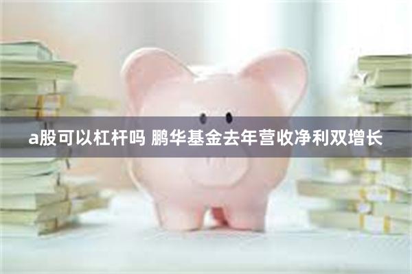 a股可以杠杆吗 鹏华基金去年营收净利双增长