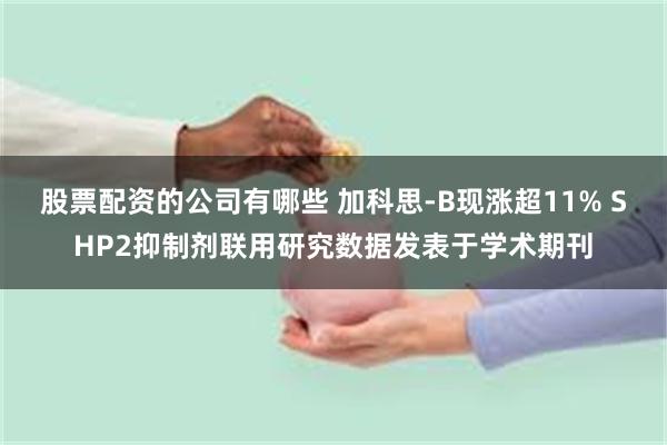 股票配资的公司有哪些 加科思-B现涨超11% SHP2抑制剂联用研究数据发表于学术期刊