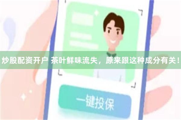 炒股配资开户 茶叶鲜味流失，原来跟这种成分有关！