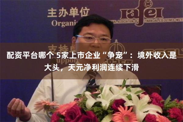 配资平台哪个 5家上市企业“争宠”：境外收入是大头，天元净利润连续下滑