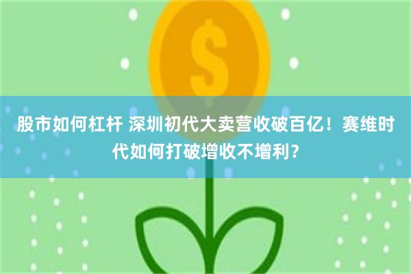 股市如何杠杆 深圳初代大卖营收破百亿！赛维时代如何打破增收不增利？