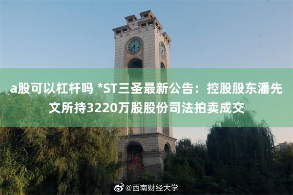 a股可以杠杆吗 *ST三圣最新公告：控股股东潘先文所持3220万股股份司法拍卖成交