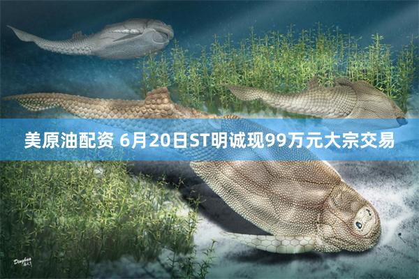 美原油配资 6月20日ST明诚现99万元大宗交易