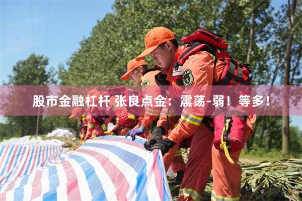 股市金融杠杆 张良点金：震荡-弱！等多！