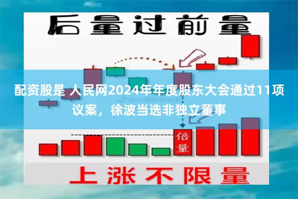 配资股是 人民网2024年年度股东大会通过11项议案，徐波当选非独立董事