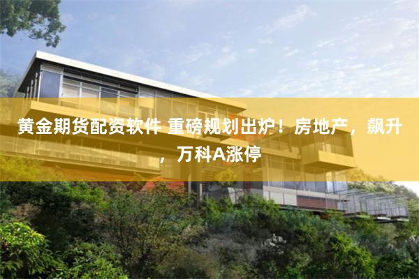 黄金期货配资软件 重磅规划出炉！房地产，飙升，万科A涨停