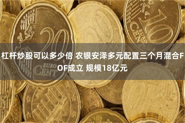 杠杆炒股可以多少倍 农银安泽多元配置三个月混合FOF成立 规模18亿元