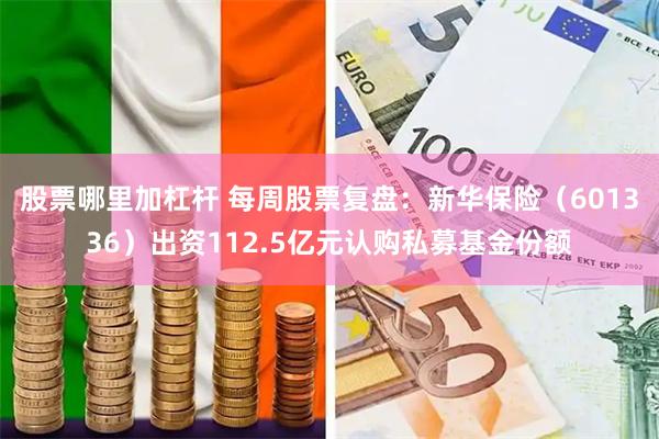 股票哪里加杠杆 每周股票复盘：新华保险（601336）出资112.5亿元认购私募基金份额