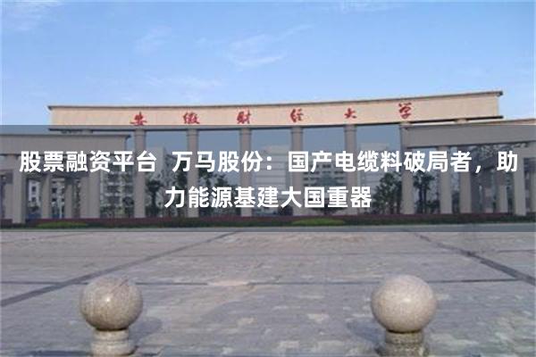 股票融资平台  万马股份：国产电缆料破局者，助力能源基建大国重器