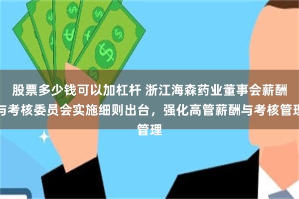 股票多少钱可以加杠杆 浙江海森药业董事会薪酬与考核委员会实施细则出台，强化高管薪酬与考核管理
