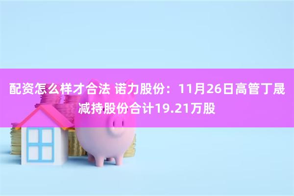 配资怎么样才合法 诺力股份：11月26日高管丁晟减持股份合计19.21万股