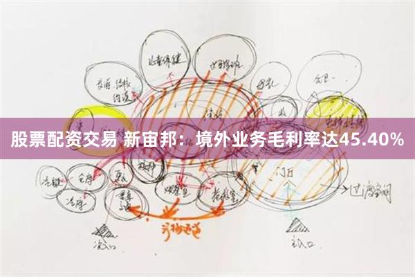 股票配资交易 新宙邦：境外业务毛利率达45.40%