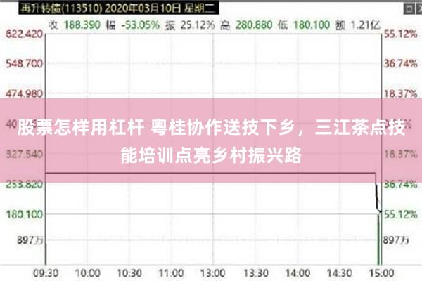 股票怎样用杠杆 粤桂协作送技下乡，三江茶点技能培训点亮乡村振兴路