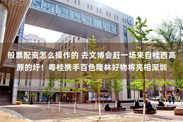 股票配资怎么操作的 去文博会赶一场来自桂西高原的圩！粤桂携手百色隆林好物将亮相深圳