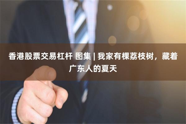 香港股票交易杠杆 图集 | 我家有棵荔枝树，藏着广东人的夏天
