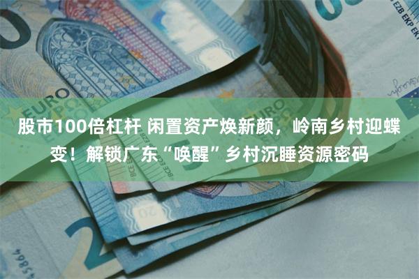 股市100倍杠杆 闲置资产焕新颜，岭南乡村迎蝶变！解锁广东“唤醒”乡村沉睡资源密码
